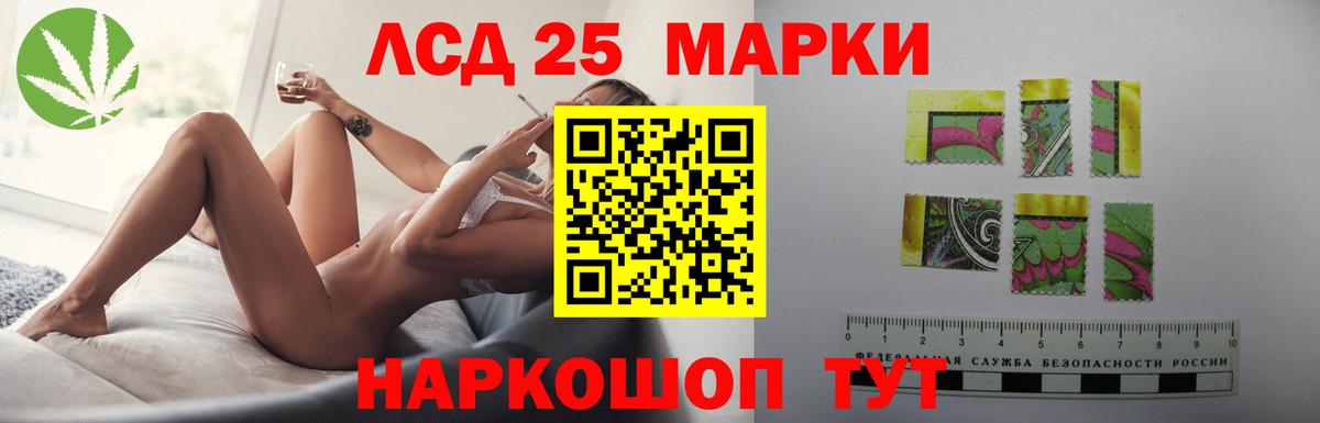 Псилоцибиновые грибы Елец